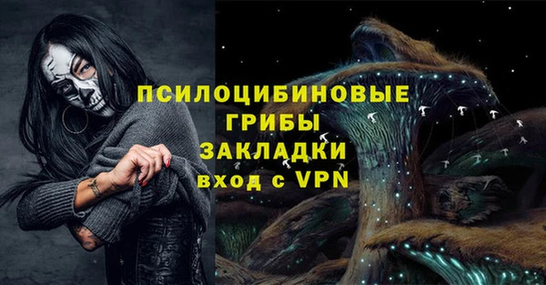 a pvp Арсеньев