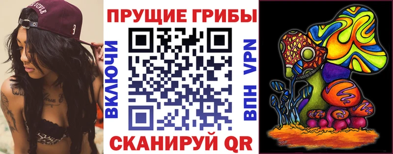 omg ССЫЛКА  где можно купить наркотик  Жуков  Галлюциногенные грибы прущие грибы 